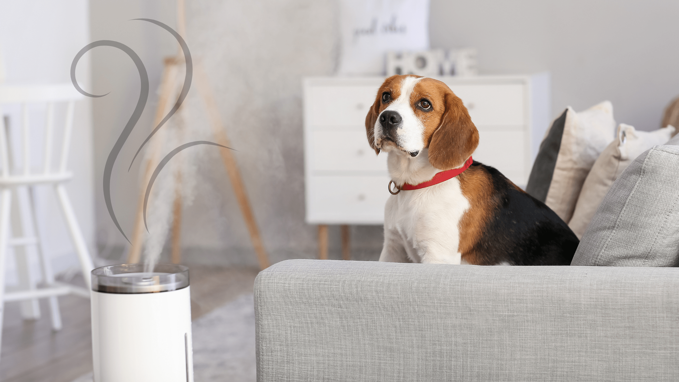 ¿Por qué los humidificadores pequeños se han vuelto tan populares en hogares y oficinas?